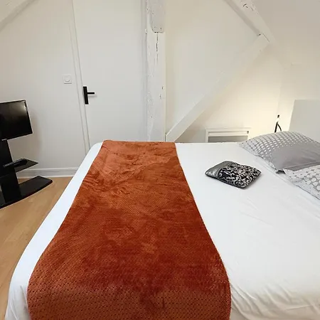 Coup De Coeur Angevin - Hypercentre - Calme - Cozy