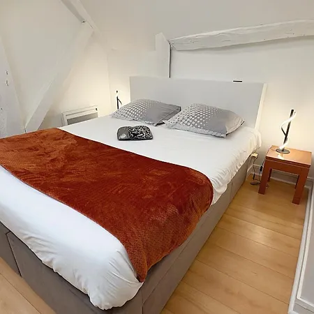 Coup De Coeur Angevin - Hypercentre - Calme - Cozy