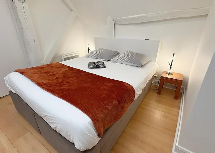 Coup De Coeur Angevin - Hypercentre - Calme - Cozy